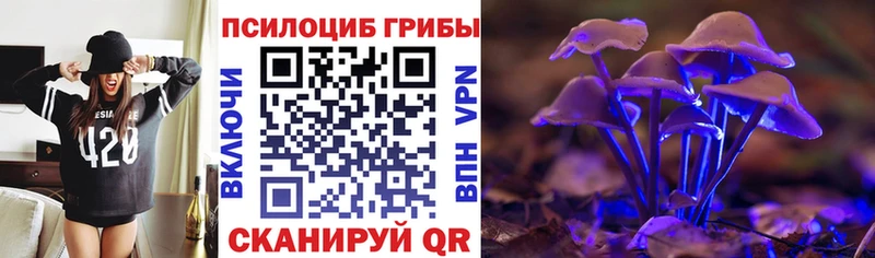Псилоцибиновые грибы Psilocybine cubensis  Пионерский 